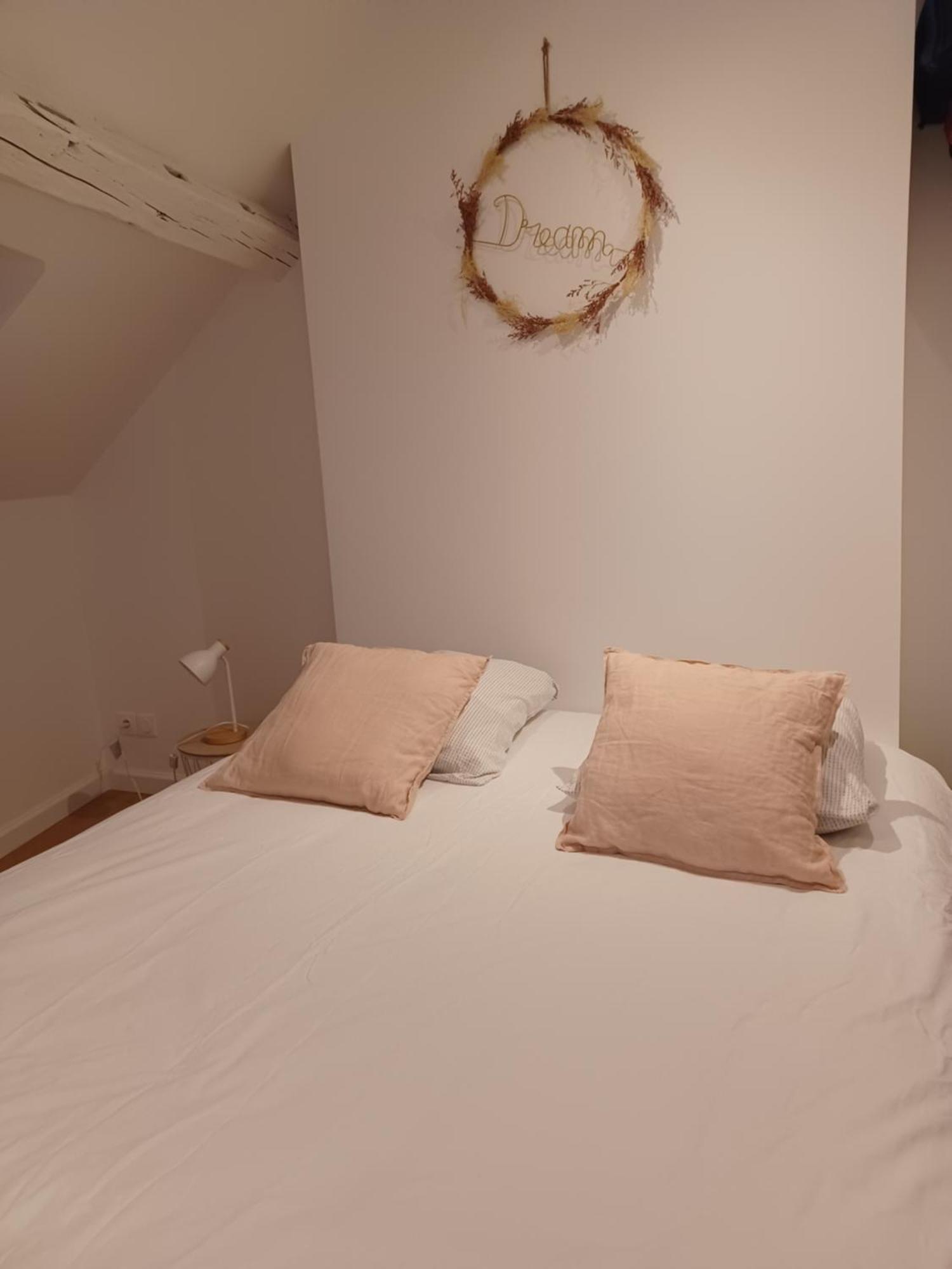 Duplex De 65 M2, Coeur De Bonneval Διαμέρισμα Bonneval  Εξωτερικό φωτογραφία